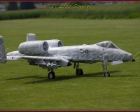 1GLOVELIER 0441